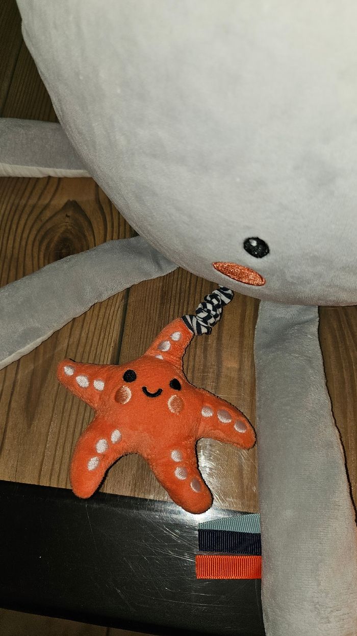 Pieuvre activités - photo numéro 3