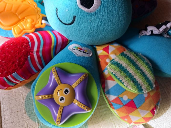 Pieuvre multi activités - photo numéro 2