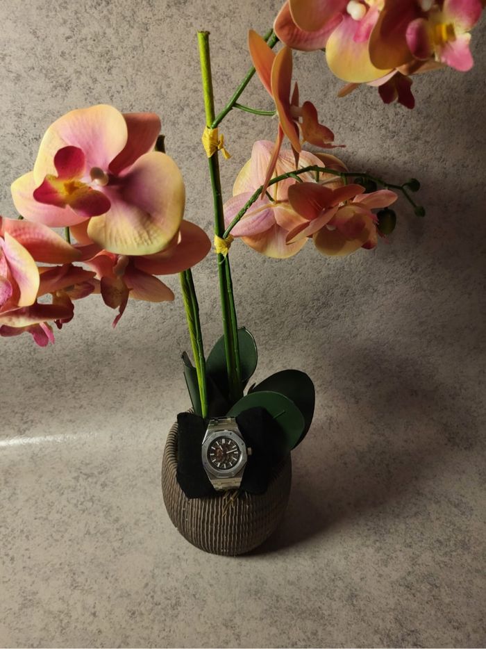 Seiko mod skelleton - photo numéro 3