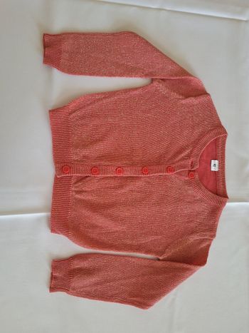 Gilet