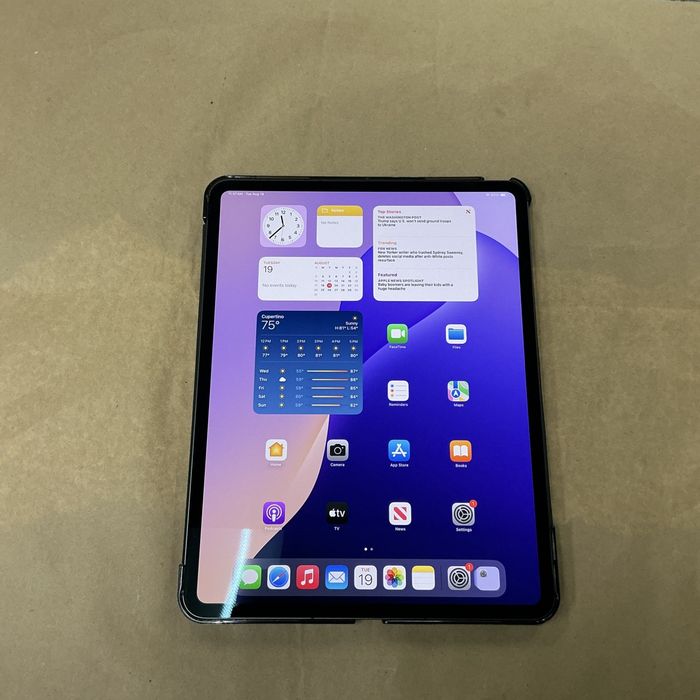Apple iPad Pro 13 pouces M4 A2926 256 Go, Wi-Fi + 5G, 13 pouces, débloqué, batterie 100% en parfait