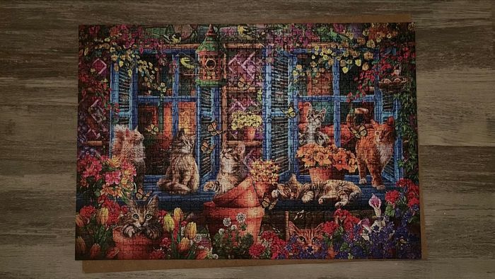 puzzle bluebird