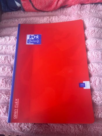 Cahier grand carreaux