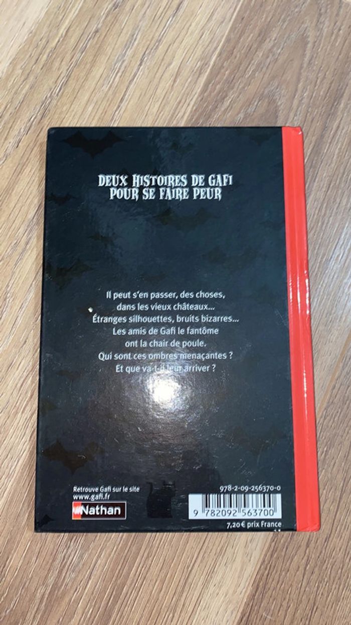 Livre Gafi - photo numéro 3