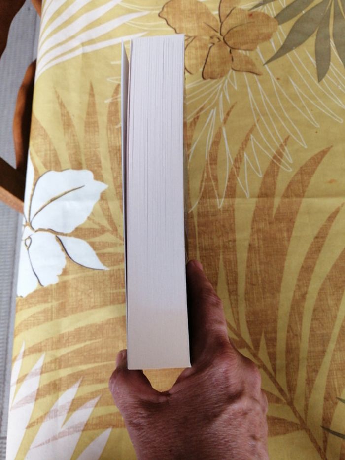 Le loup dans la bergerie - photo numéro 4