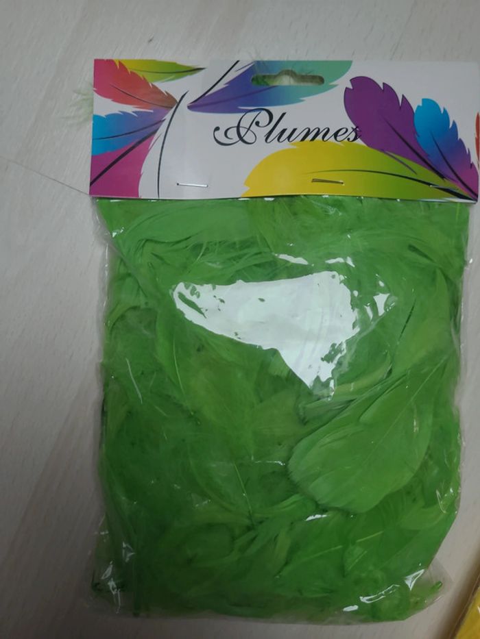 lot 4 sachets plumes colorées - photo numéro 2