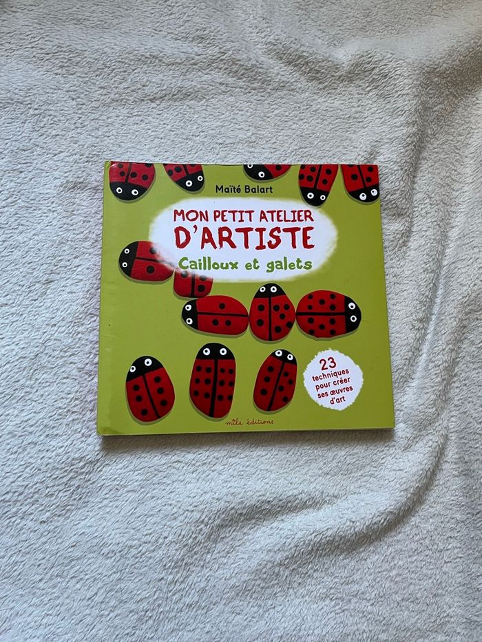 Livre enfants Mon petit atelier d artiste cailloux et galets
