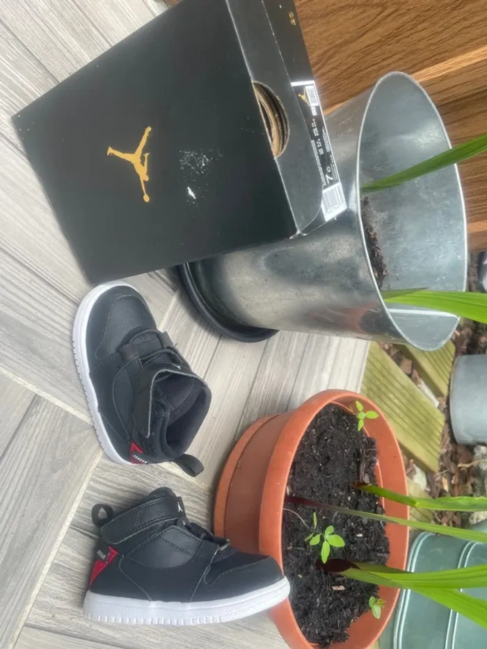 Jordan taille 23.5