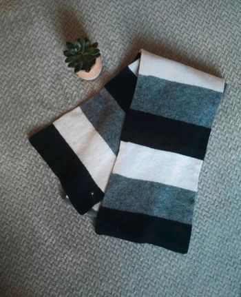 Écharpe homme Célio 