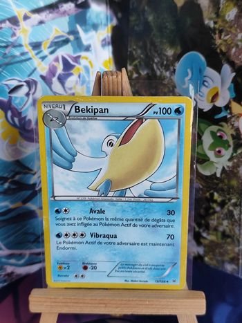 Bekipan 19/108 ciel rugissant