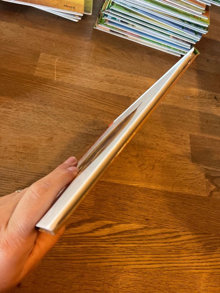 Livre Altaya Le monde des animaux Sauvages Animaux de la savane Le Tatou - photo numéro 6