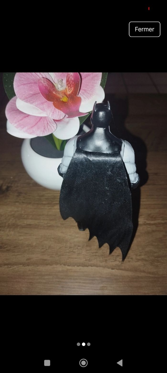 Batman - photo numéro 2