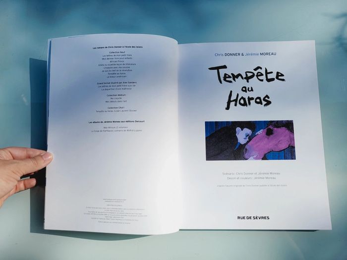 Livre enfant couverture souple Tempête au Haras, l'école des loisirs (11) - photo numéro 2