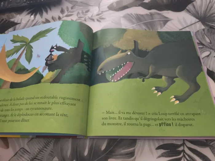 Album le loup qui voyageait dans le temps - photo numéro 4