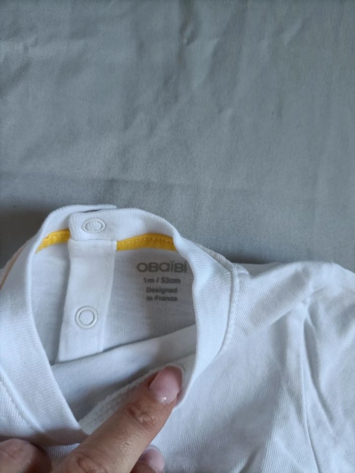 Ensemble Lions - photo numéro 3