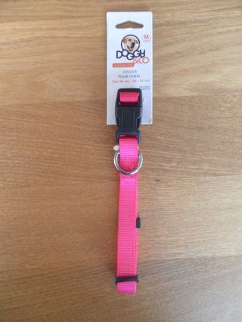 collier pour chien