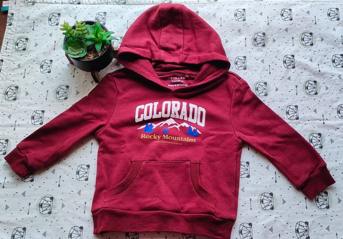 Sweat à capuche taille 2/3 ans