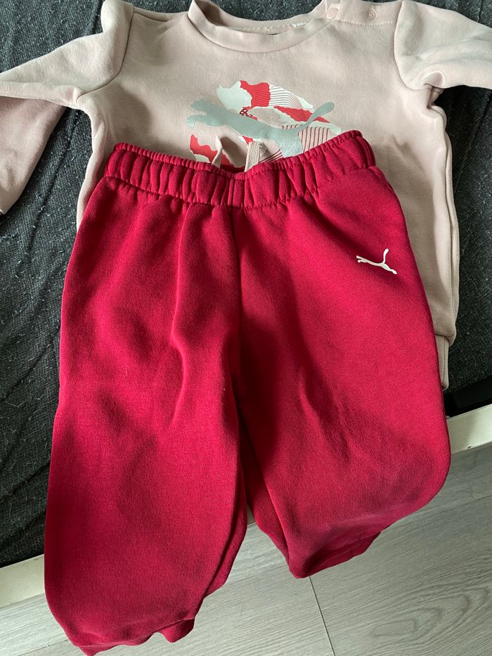 Ensemble puma