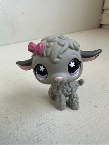 Petshop mouton noir