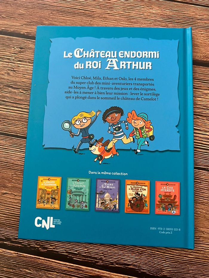 Le château endormi du roi Arthur - photo numéro 2