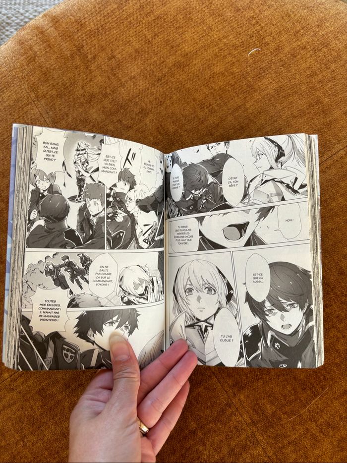 Manga Why nobody remembers my world - photo numéro 3