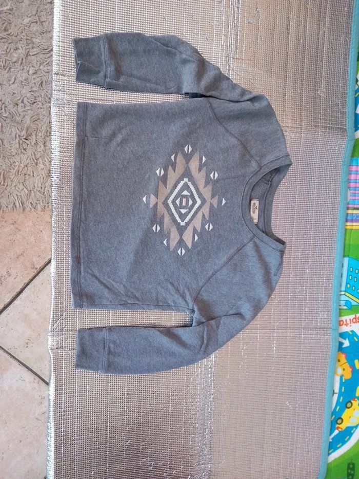 😴sweat coton molletonné TS36 Hollister - photo numéro 2