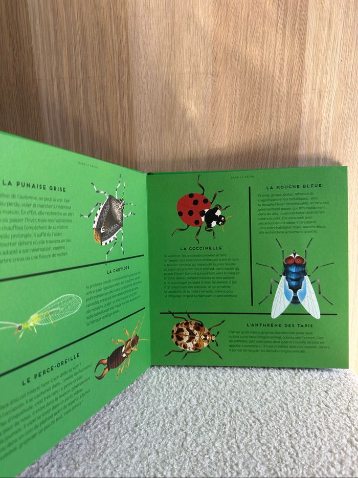 Livre nos voisins les insectes - photo numéro 3