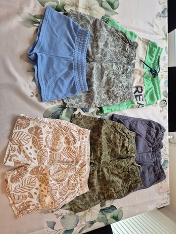 Lot 6 shorts