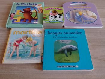 Lot de 5 livres cartonnés, divers (4)