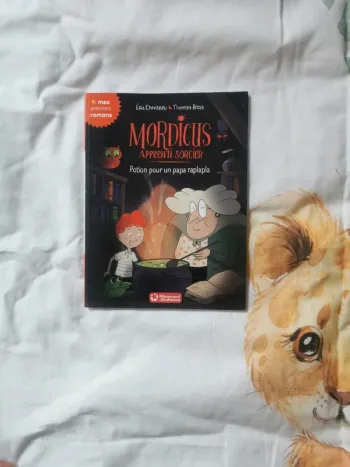 Livre mordicus apprenti sorcier
