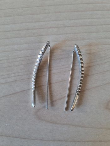 Paire de boucles d'oreilles argentée