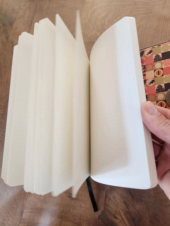 Livre intime Jurassic World - photo numéro 4