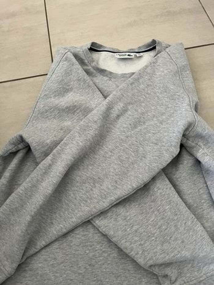 Sweat Lacoste - photo numéro 4