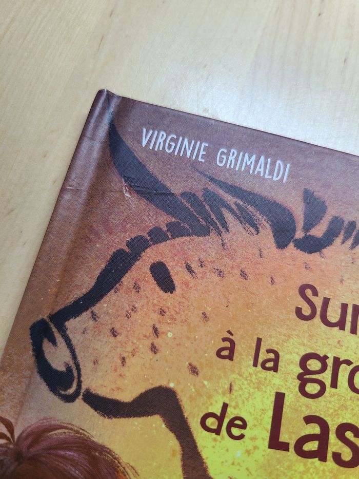 Surprise à la grotte de lascaux - photo numéro 2