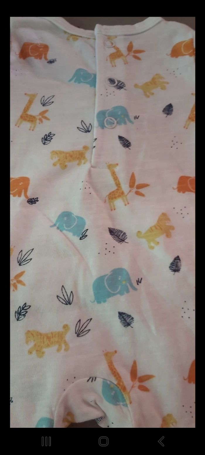 Bodie ete 1 mois - photo numéro 3