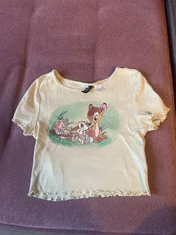 Tee shirt court