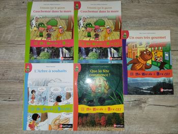 Lot de cinq livres Un monde à lire en CE1