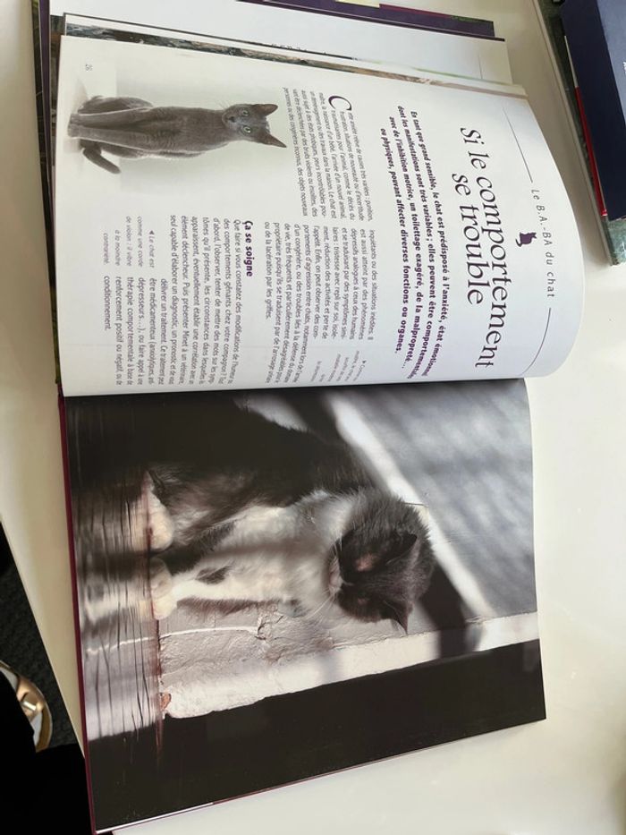 Divertissement - photo numéro 3