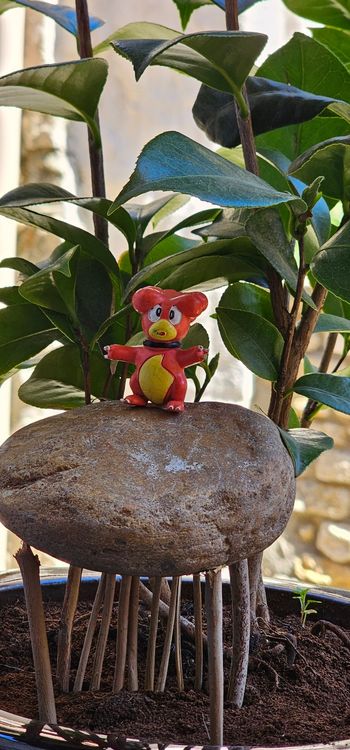Super figurine Pokemon Tomy C.G.T.S.J Magby 