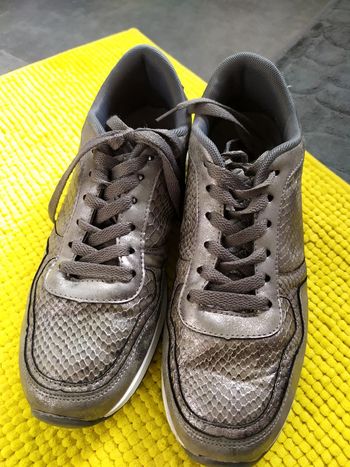 Baskets Snakeskin / Sapatilhas