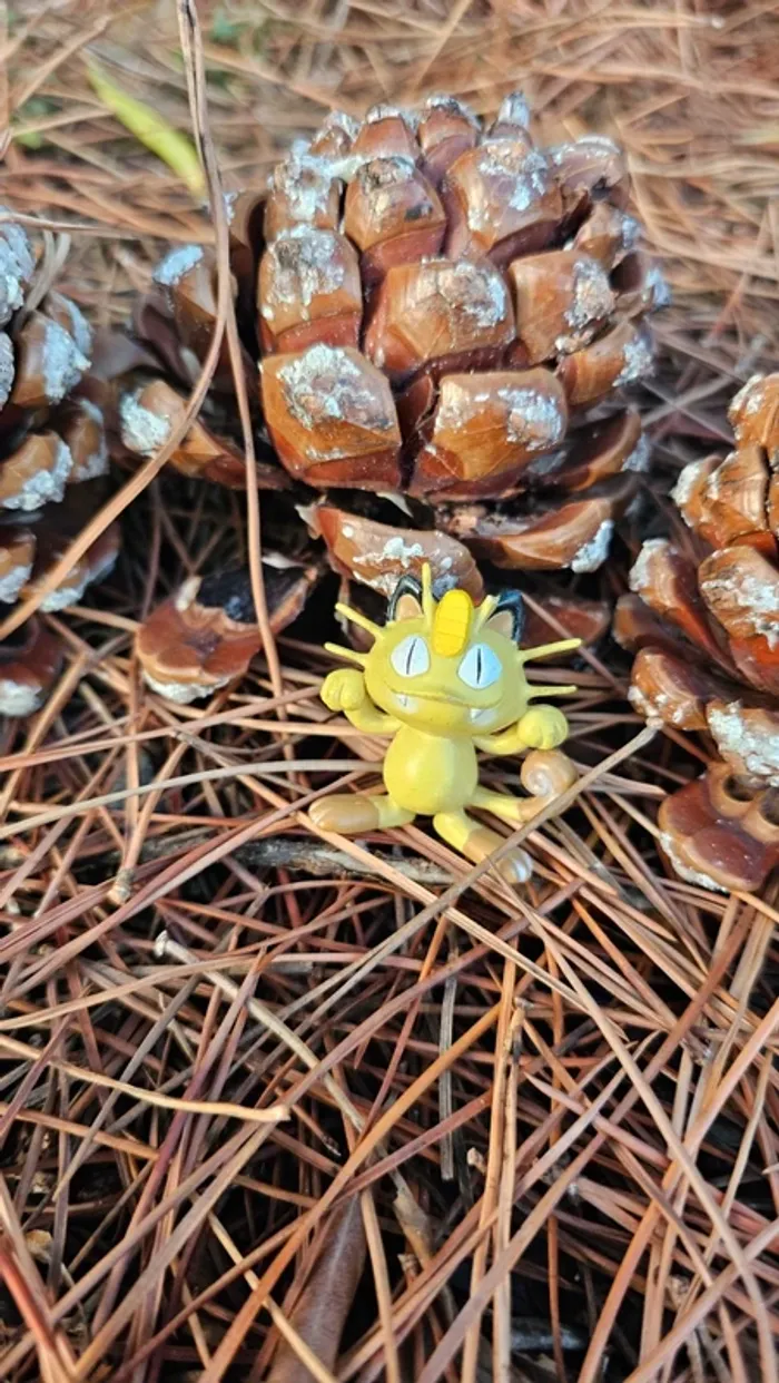 Super figurine Pokemon Nintendo tomy C.G.T.S.J Miaous - photo numéro 2