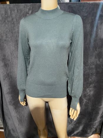 Pulls fin camaïeu taille s