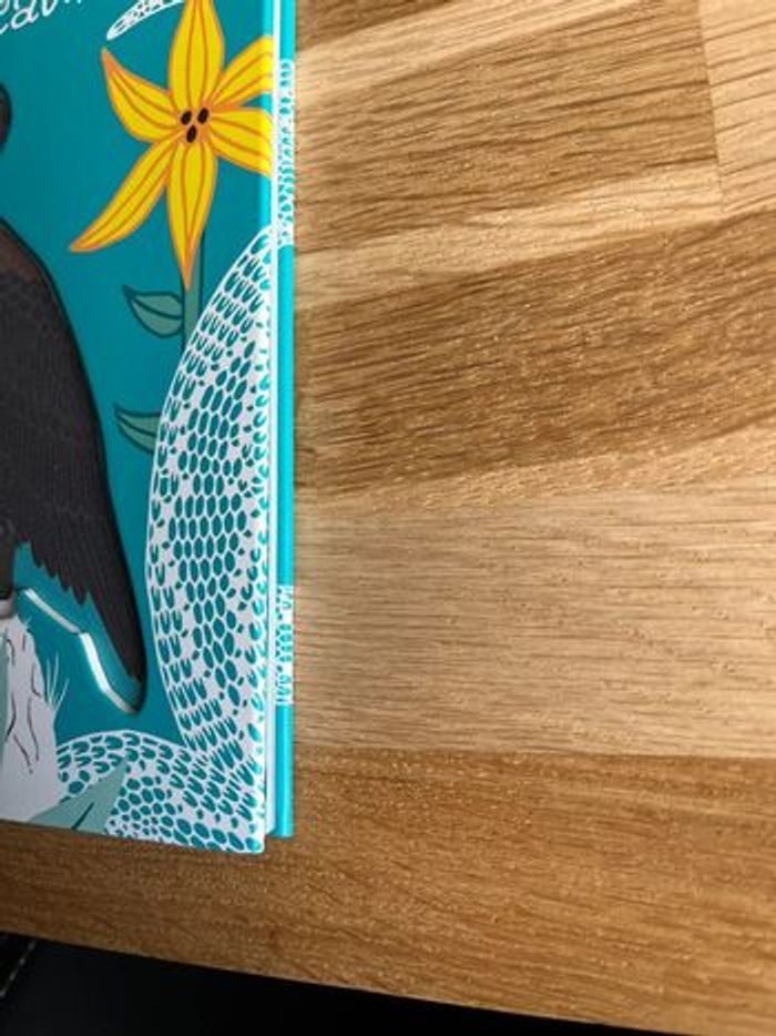 Livre comment les couleurs vinrent aux oiseaux - photo numéro 4