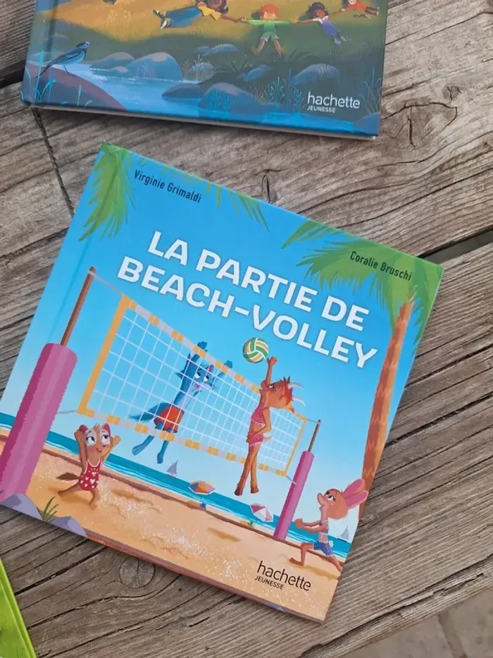 Lot de 4 livres enfants hachette Virginie grimaud, Alexandre - photo numéro 13