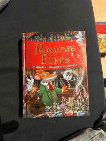 Livre pour enfants Geronimo stilton le royaume des elfes