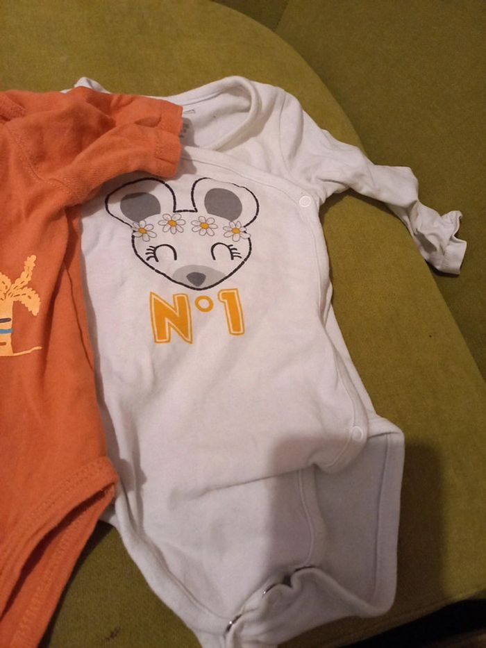 Bodys - photo numéro 3