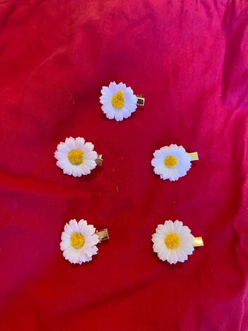 5 petites pinces à cheveux, fleurs 