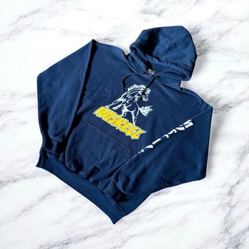 Pull couleur marine en très bonne état 