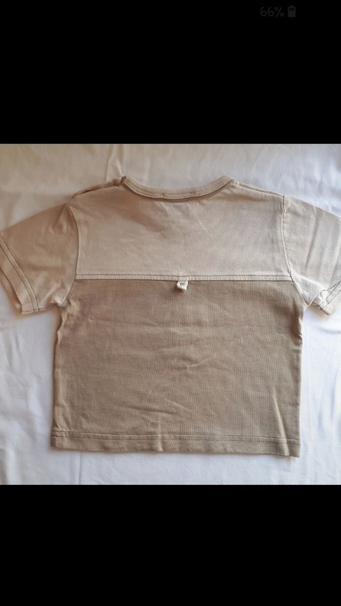 T-shirt manches courtes - photo numéro 3