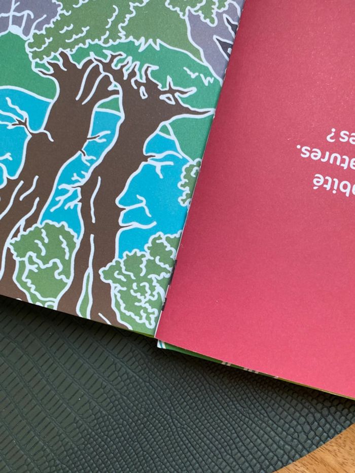 Livre enfant images cachées - photo numéro 4